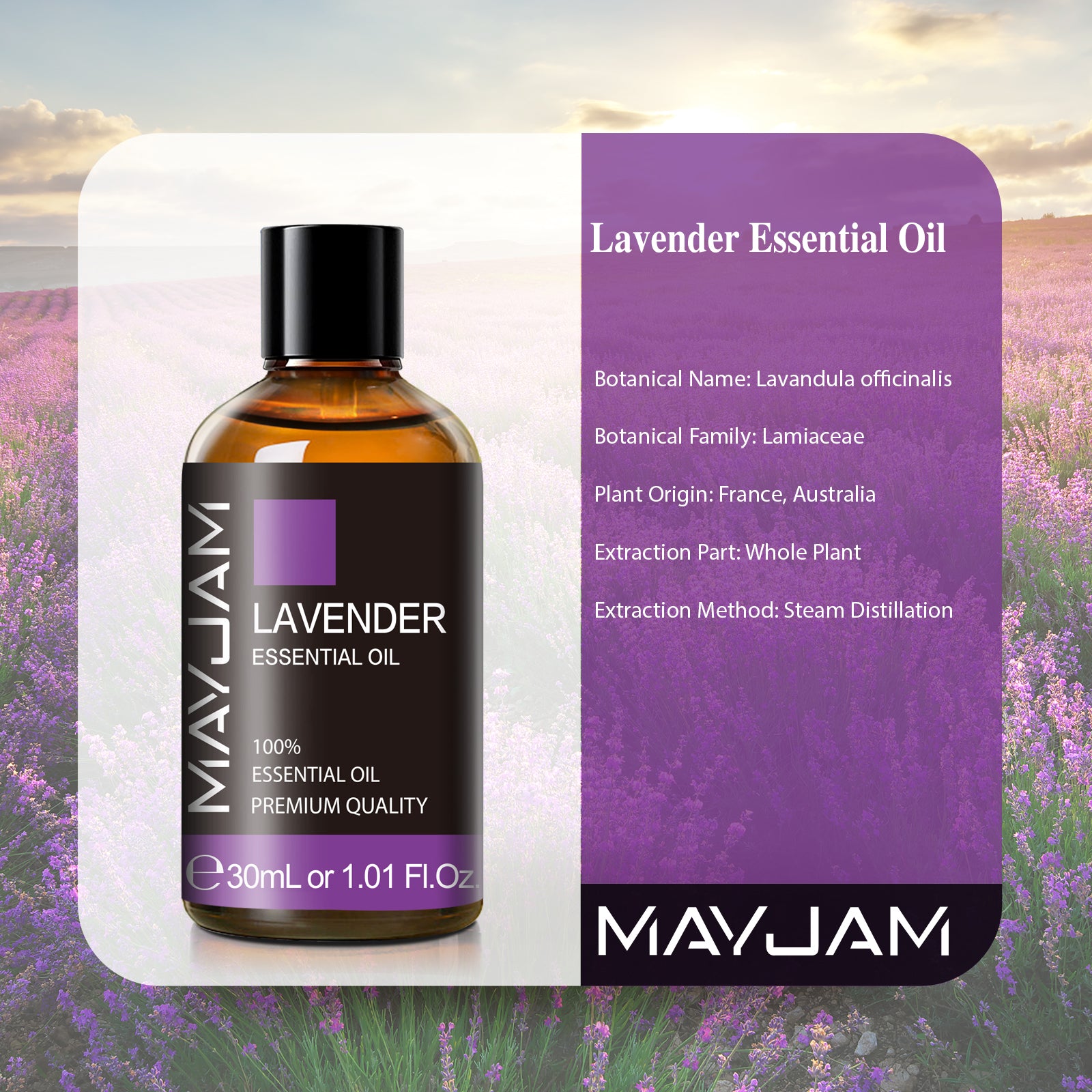 MAYJAM 30ML Lavender Essential Oil for Aromatherapy & Diffuser Massage Skin Care Soap Candle Making DIY Perfume Healthy Care