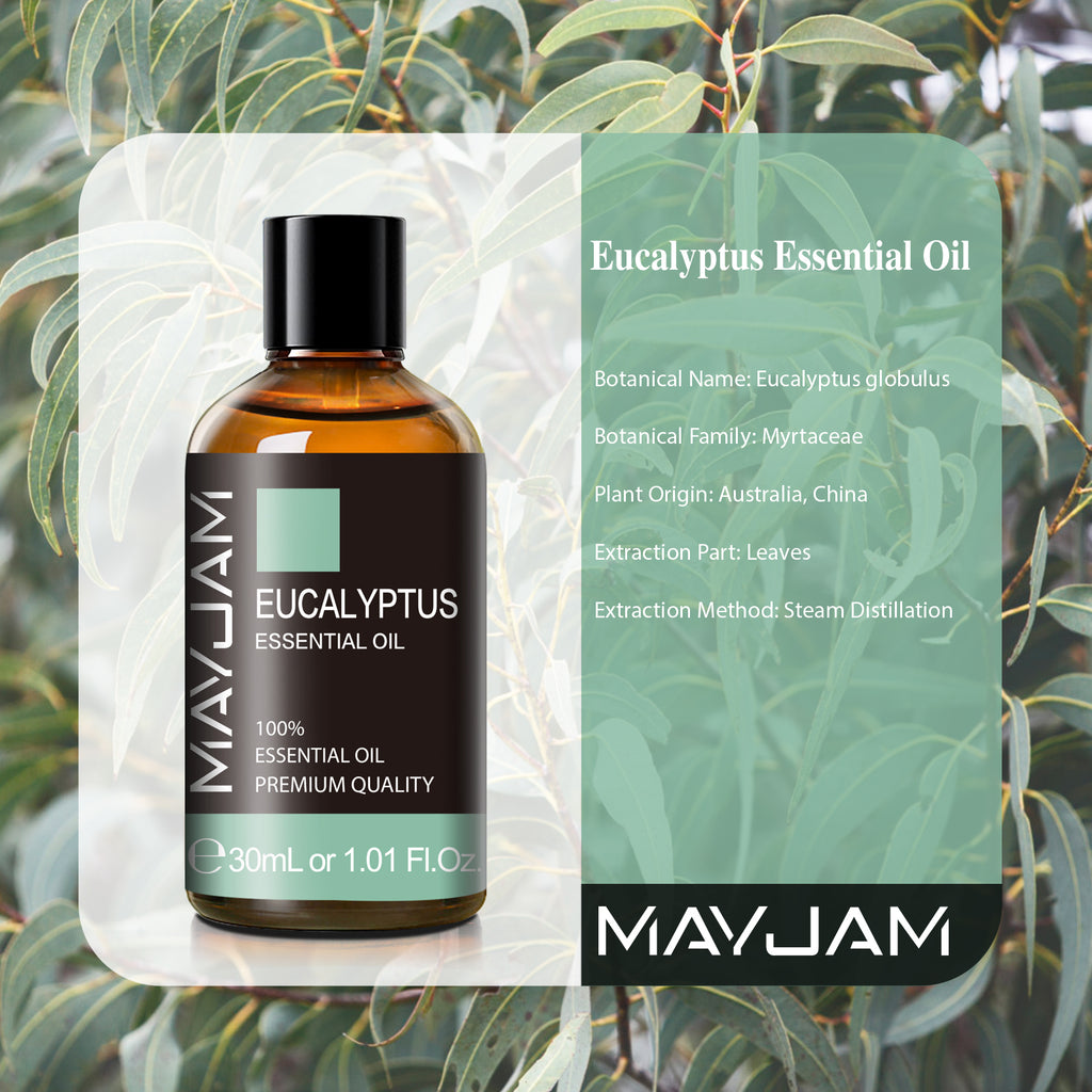 MAYJAM 30ML Eucalyptus Essential Oils, 1.01fl.oz Large Bottle Pure Essential Oils, Perfect for Living Room Bedroom Office Car Use
