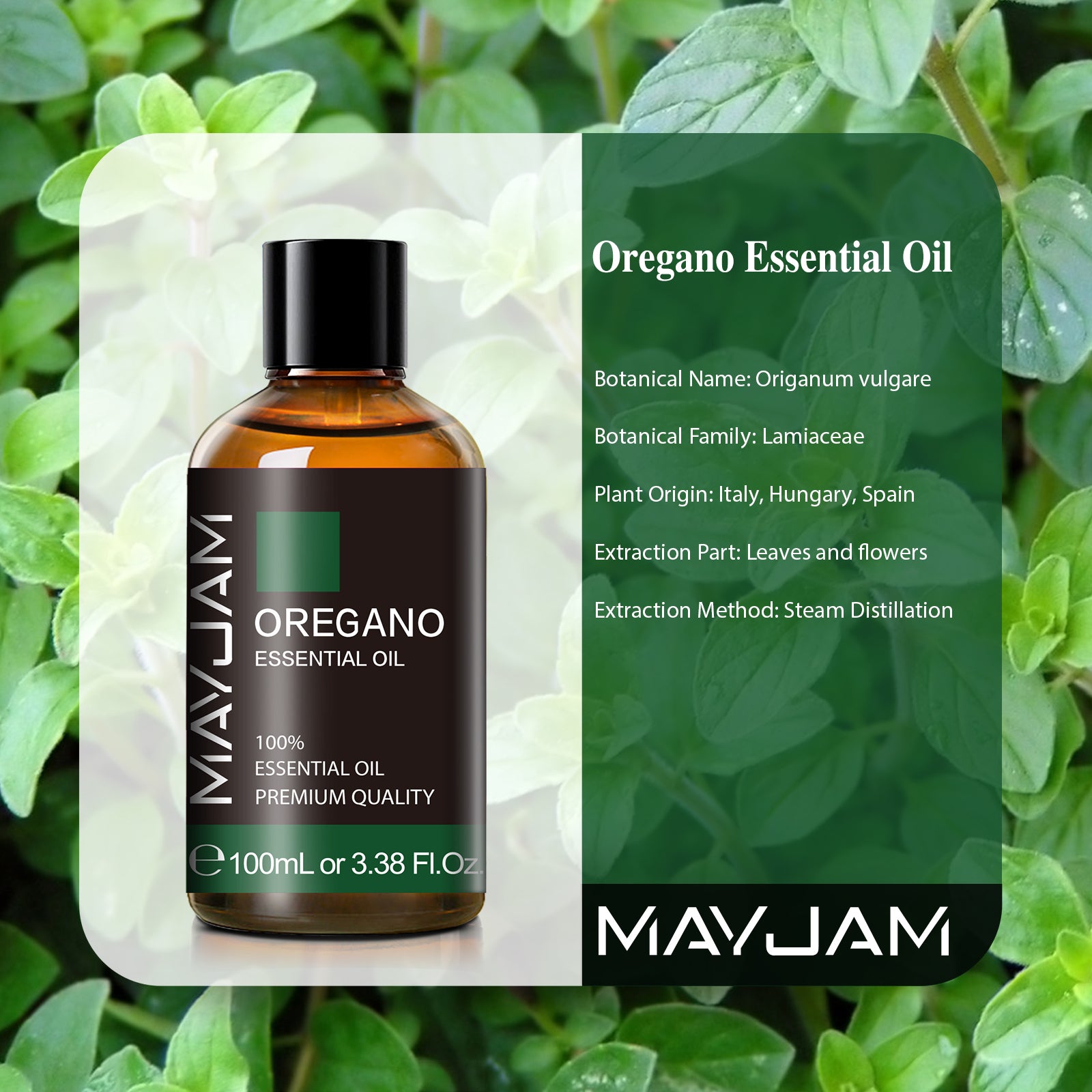 MAYJAM Pure Essential Oil, Oregano, 100ML, Therapeutic Grade, for use with Oil Diffusers, Potpourri, and Wicking Fragrance Diffusers