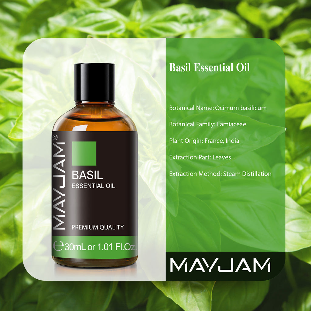 MAYJAM Basil Essential Oil Premium Grade Essential Oil for Diffuser and Aromatherapy, 30ml