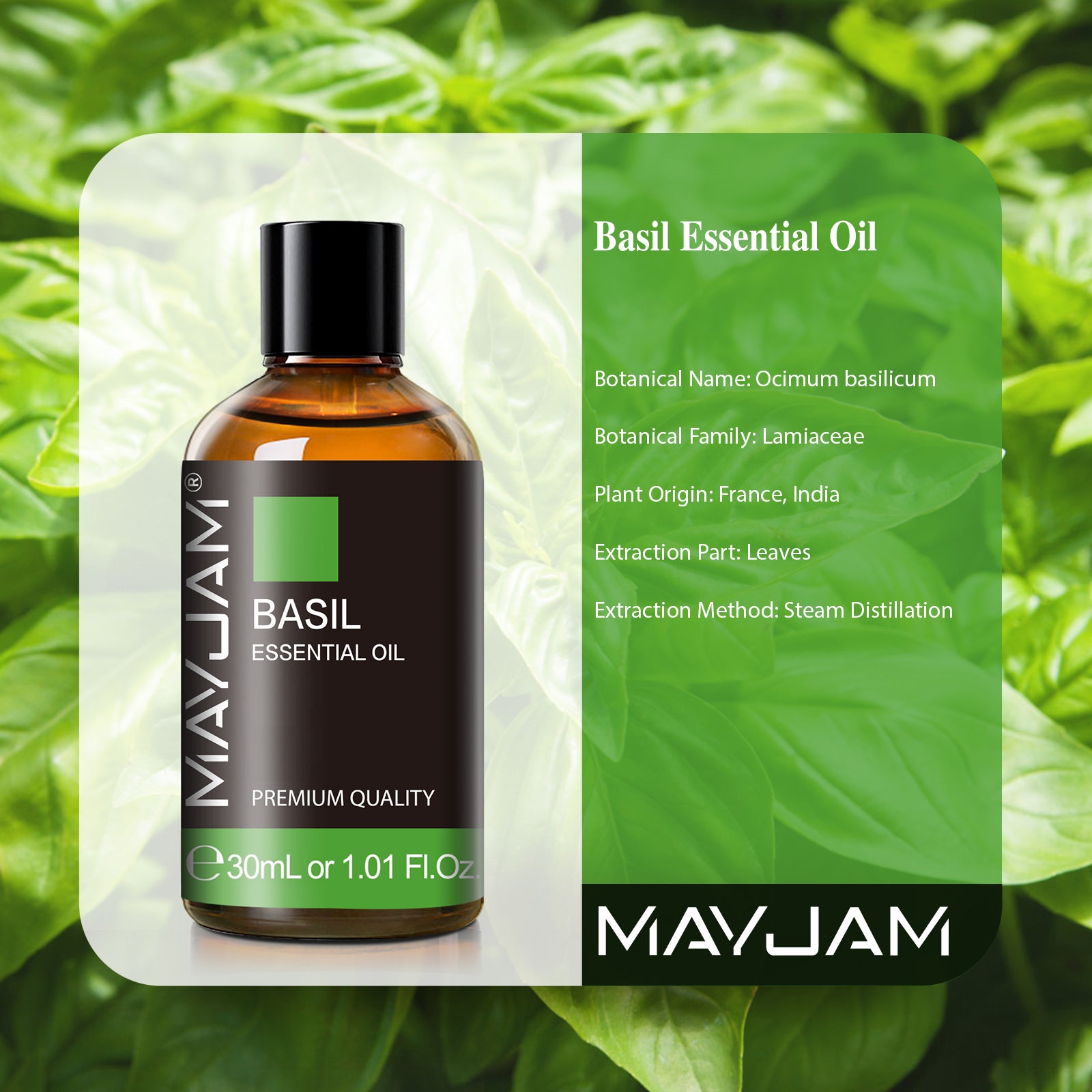 MAYJAM Basil Essential Oil Premium Grade Essential Oil for Diffuser and Aromatherapy, 30ml