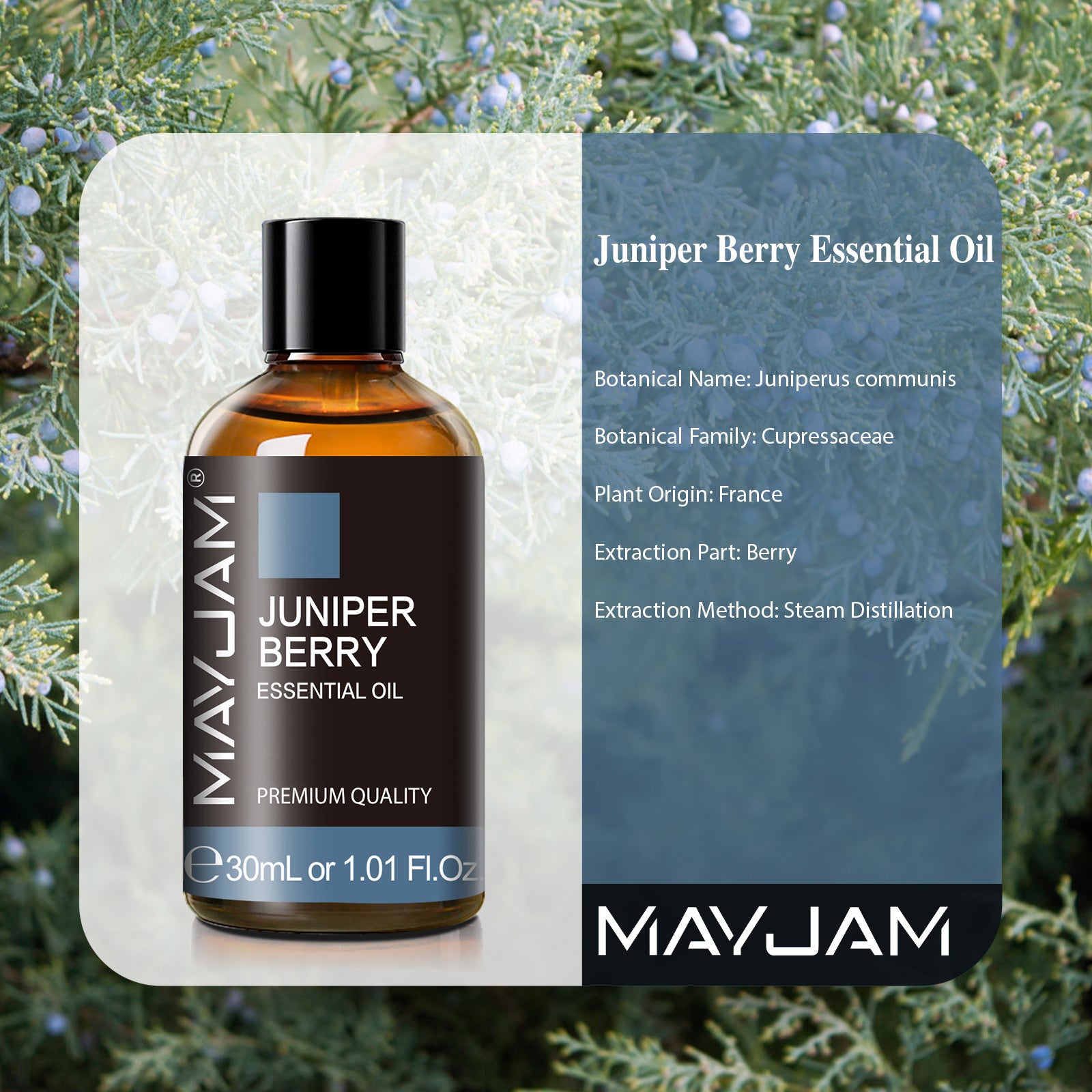 MAYJAM Essential Oils, Juniper Berry Oil, Restoring Aromatherapy Scent, Steam Distilled, 100% Pure, Vegan, Child Resistant Cap, 1-Ounce