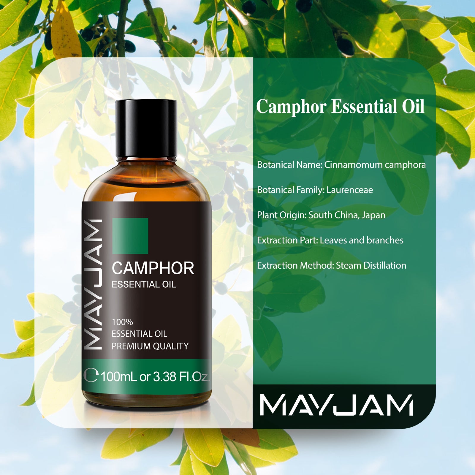 MAYJAM 100ML Camphor Essential Oil for Diffuser, Skin, Aromatherapy, Soap And Candle Making