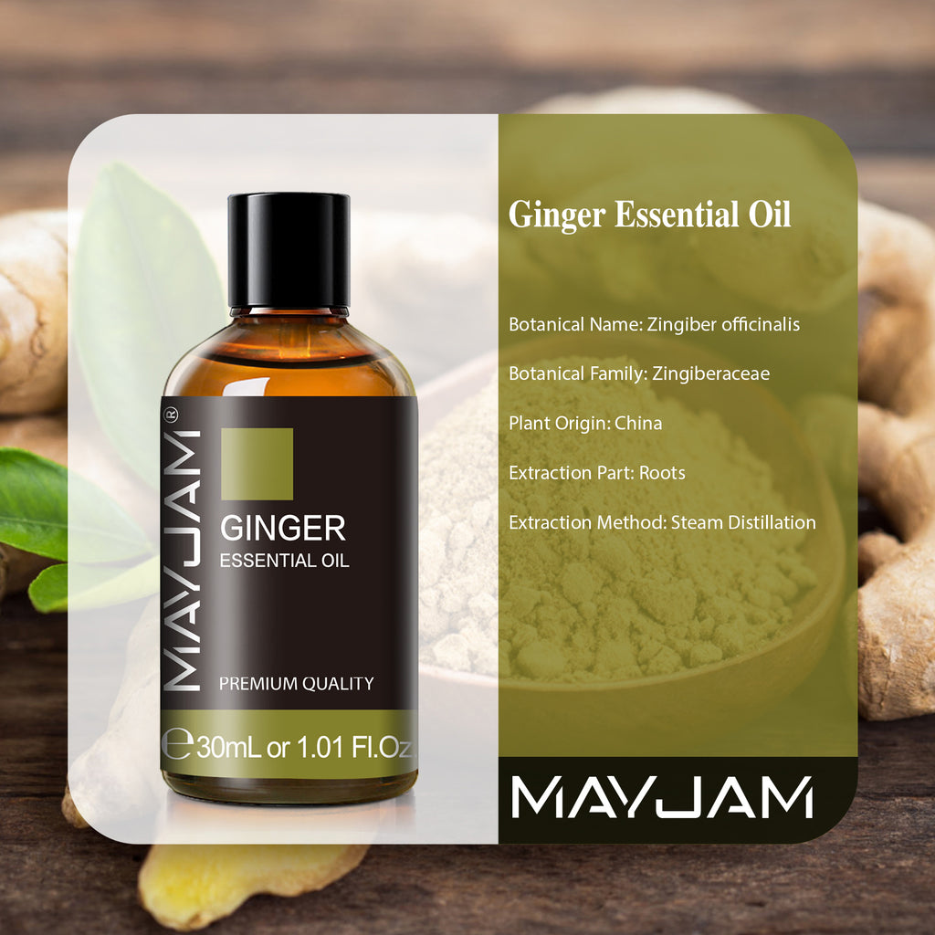 MAYJAM Pure Ginger Essential Oil, 30ML, Therapeutic Grade, for use with Oil Diffusers, Potpourri, and Wicking Fragrance Diffusers