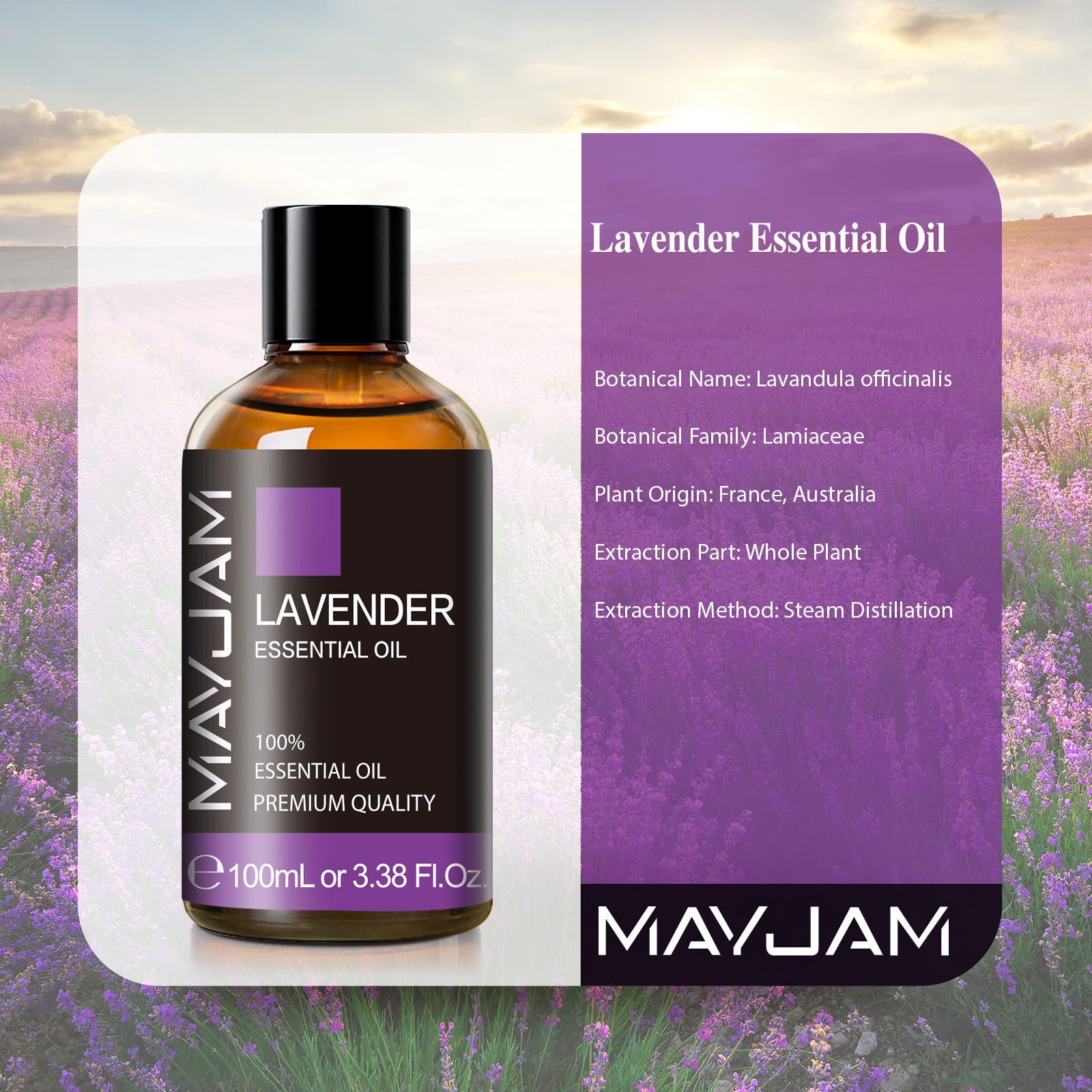MAYJAM Lavender Essential Oil for Diffuser, 100% Pure And Natural Lavender Essential Oil for Sleep, Body, Aromatherapy & Soap Making Scent (3.38 Fl Oz)