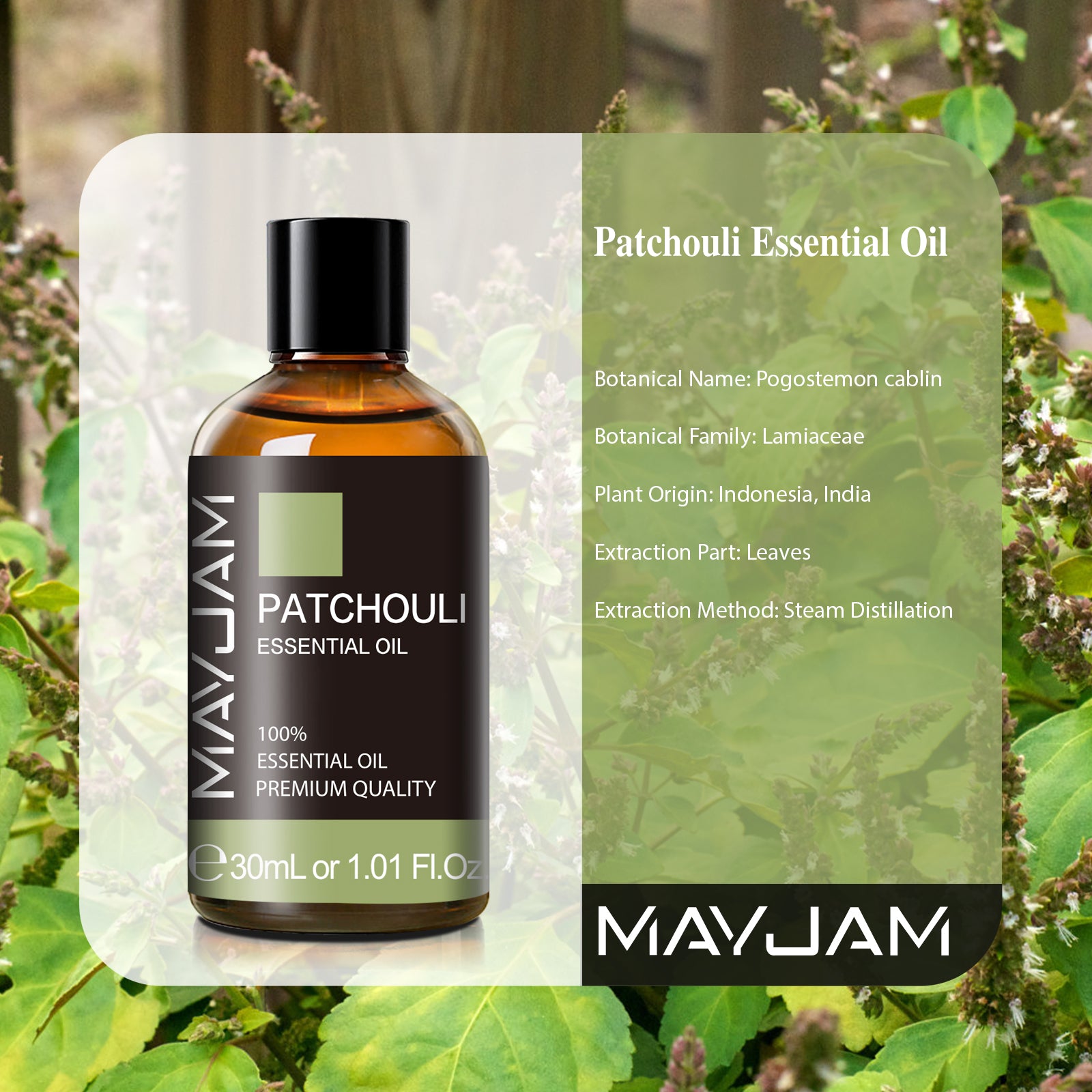 MAYJAM 30ML Patchouli Essential Oils for Skin Care, Massage, Yoga, Bath, Aromatherapy Diffuser, Perfume & Candle Making