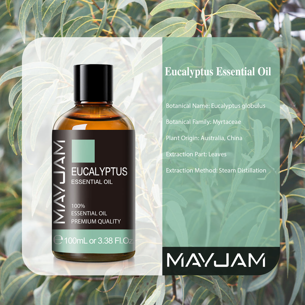 MAYJAM 3.38 Fl Oz Eucalyptus Essential Oil with Glass Dropper, 100% Pure and Natural Eucalyptus Oils for Diffuser, Aromatherapy, Soap and Candle Making