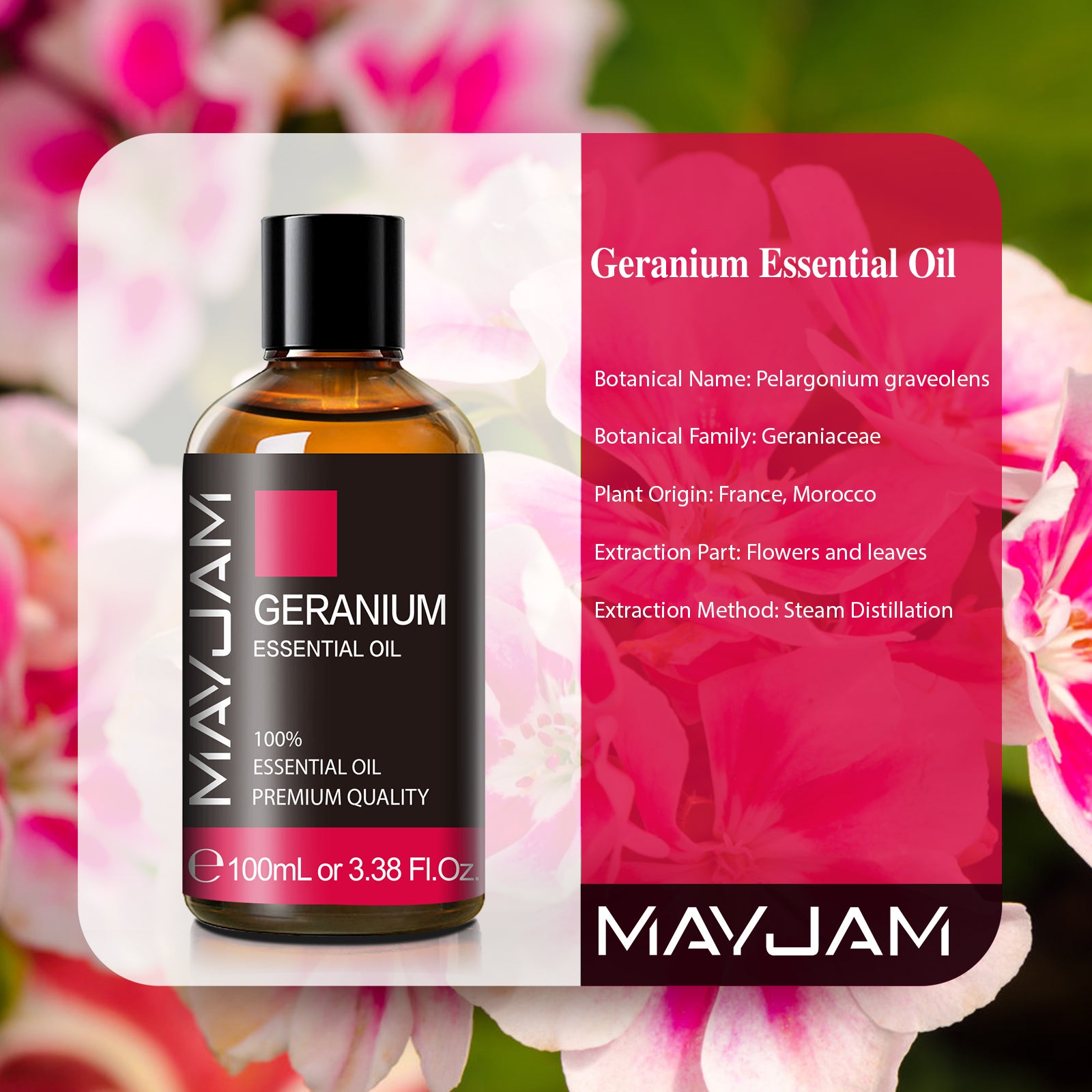 MAYJAM Geranium Essential Oil, 100% Pure Geranium Oils for Aromatherapy and Diffuser - 3.38 Fl Oz