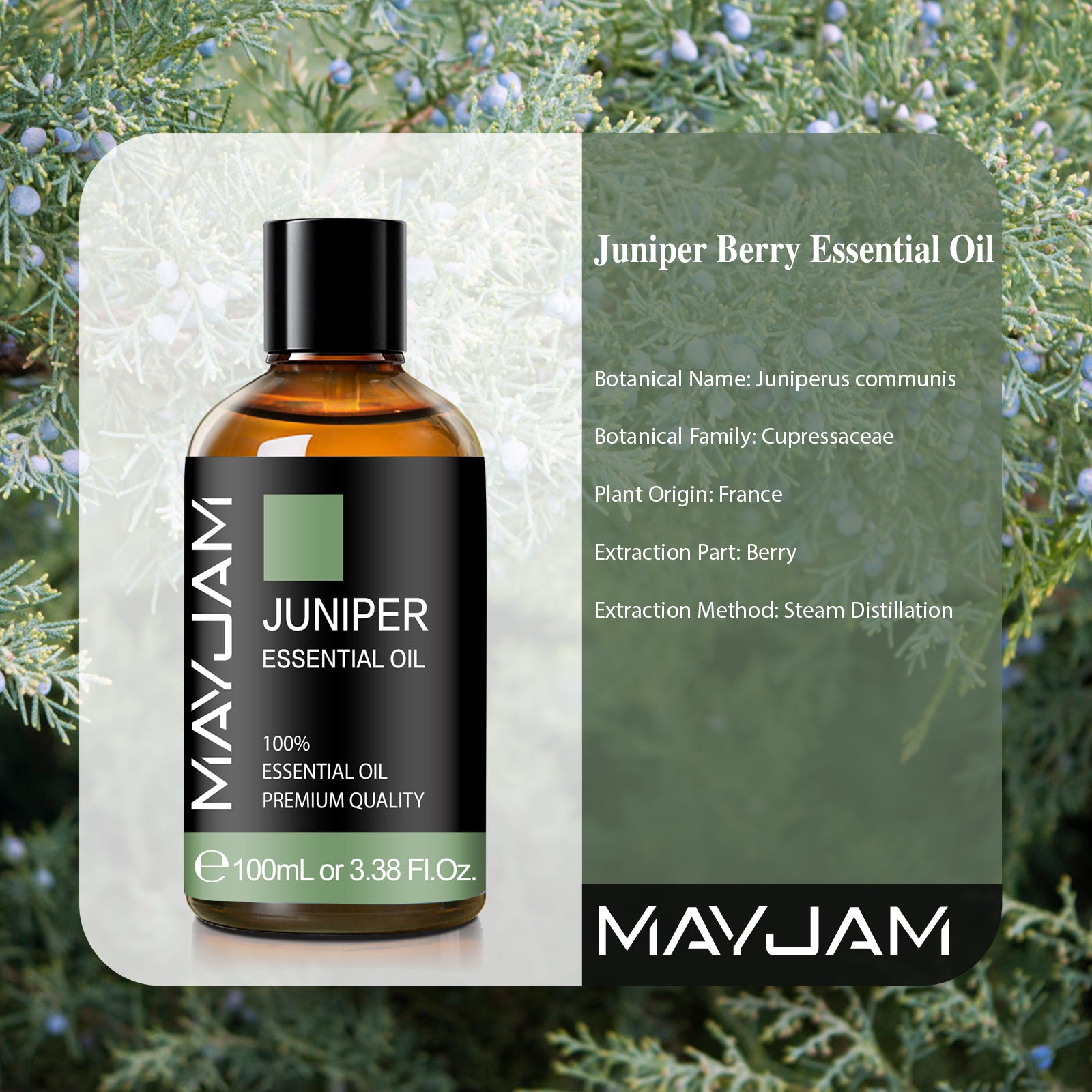 MAYJAM Natural Juniper Essential Oil for Hair Care, Home Diffusers, Skin, Aromatherapy, Massage and Stress 3.38 Fl Oz
