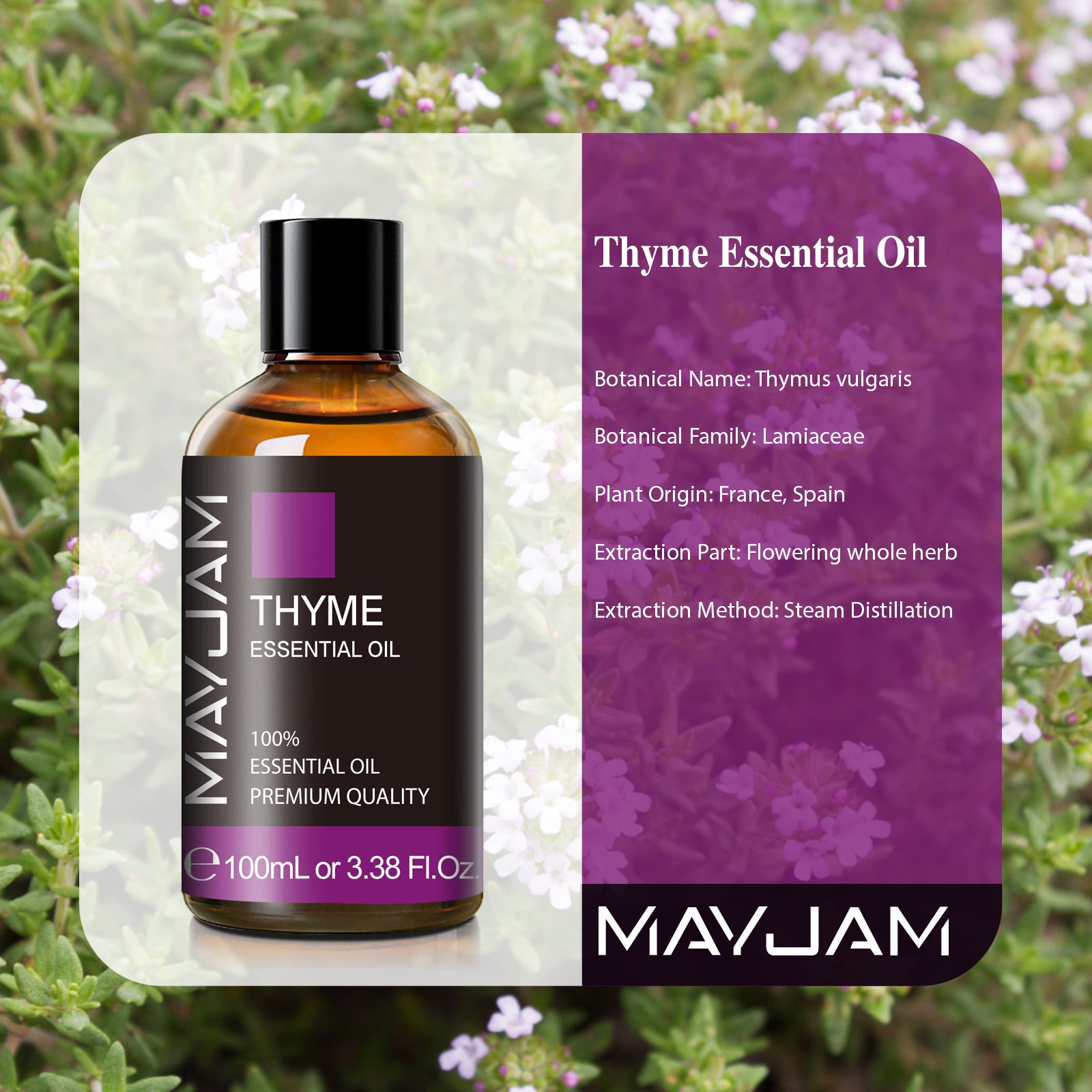 MAYJAM Pure Thyme Essential Oil, 100ML, Therapeutic Grade, for use with Oil Diffusers, Potpourri, and Wicking Fragrance Diffusers