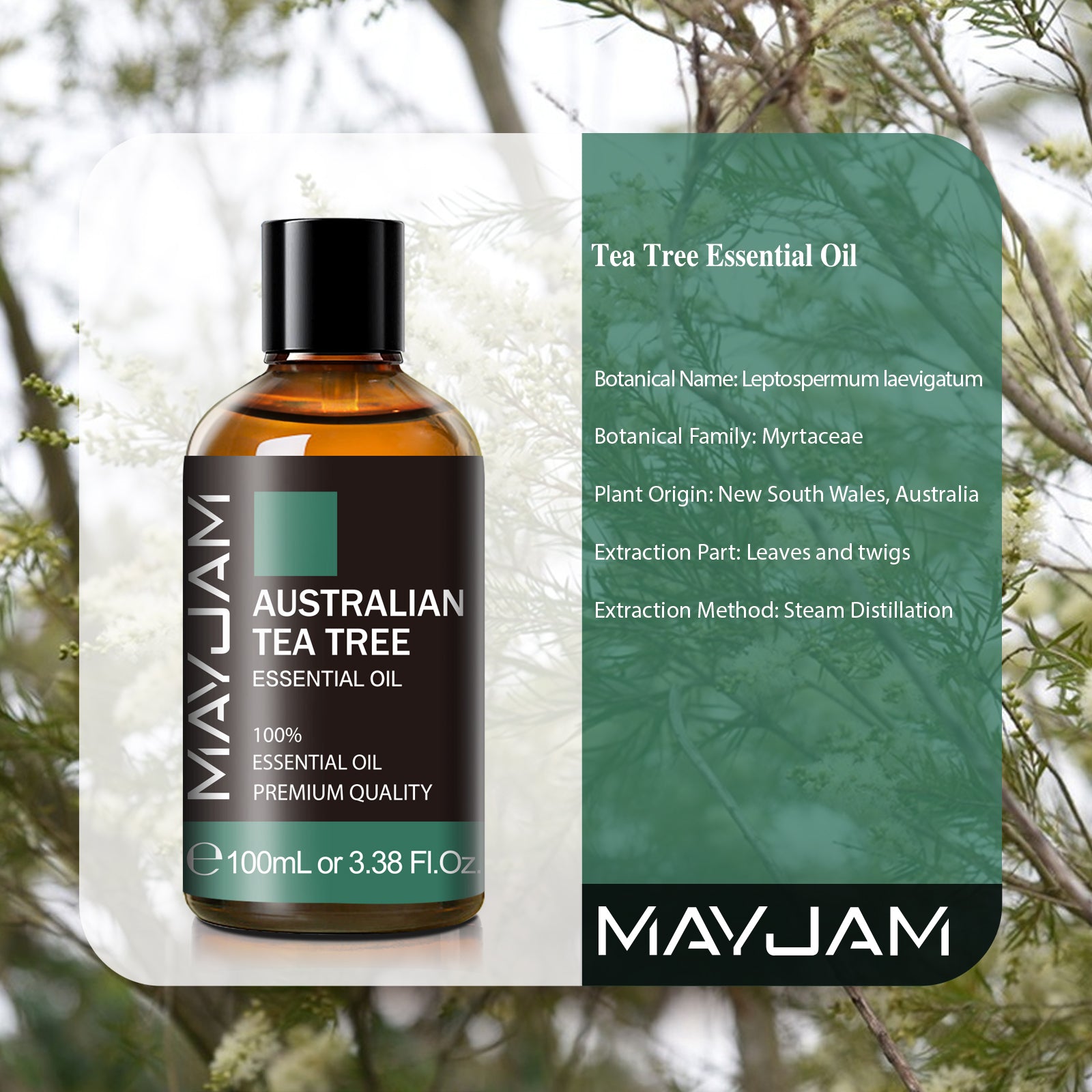 MAYJAM Organic Tea Tree Essential Oil 100% Pure Tea Tree Oil for Skin, Hair, Toenail, 3.38oz