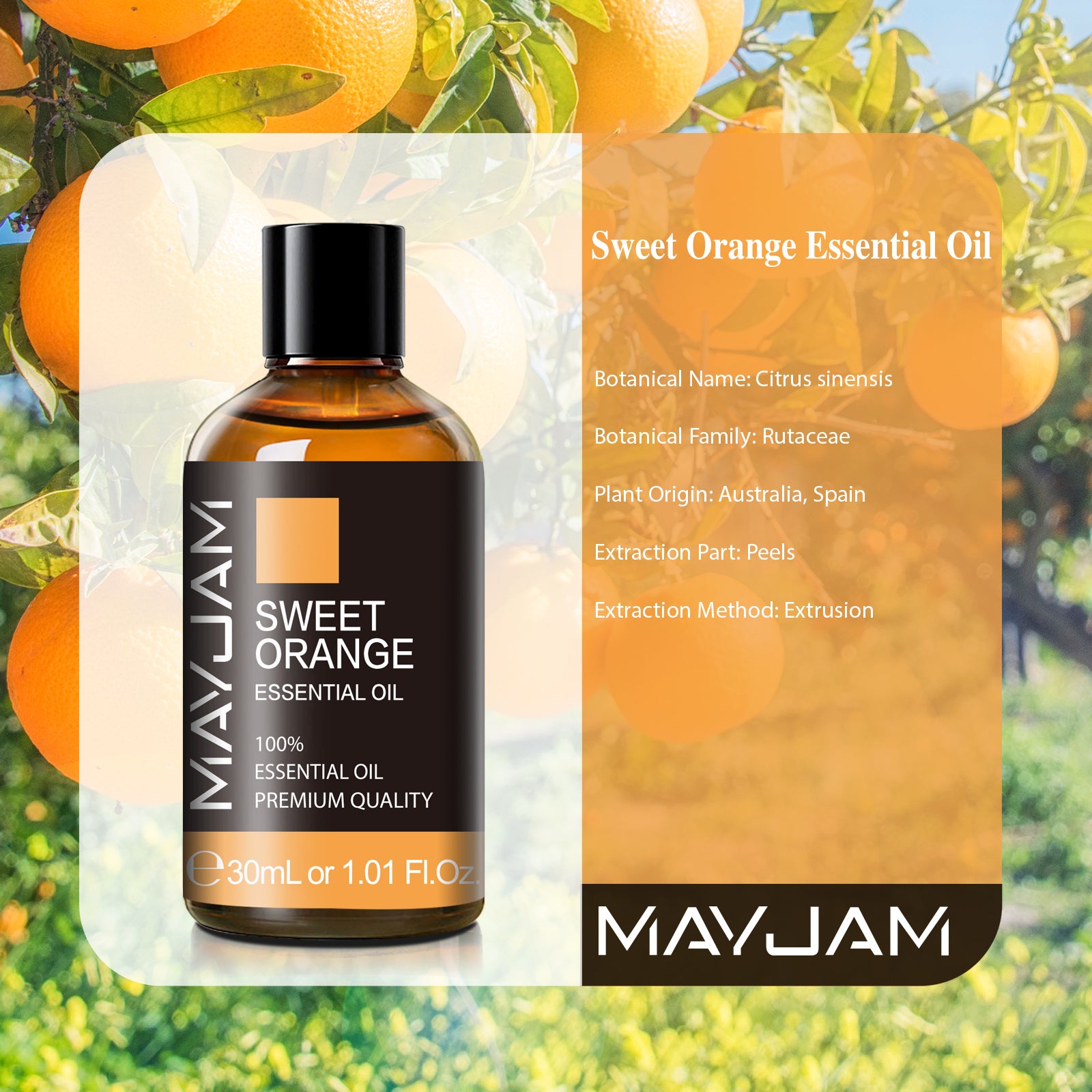 MAYJAM 30ML Sweet Orange Essential Oil for Candles, 100% Pure And Natural Orange Oil Essential Oils for Diffuser, Aromatherapy, Soap Making And Perfume
