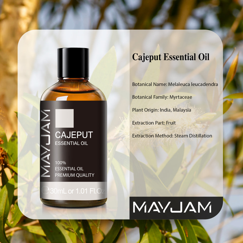 MAYJAM 30mL Pure Natural Undiluted Cajeput Essential Oil Premium Therapeutic Grade Aromatherapy