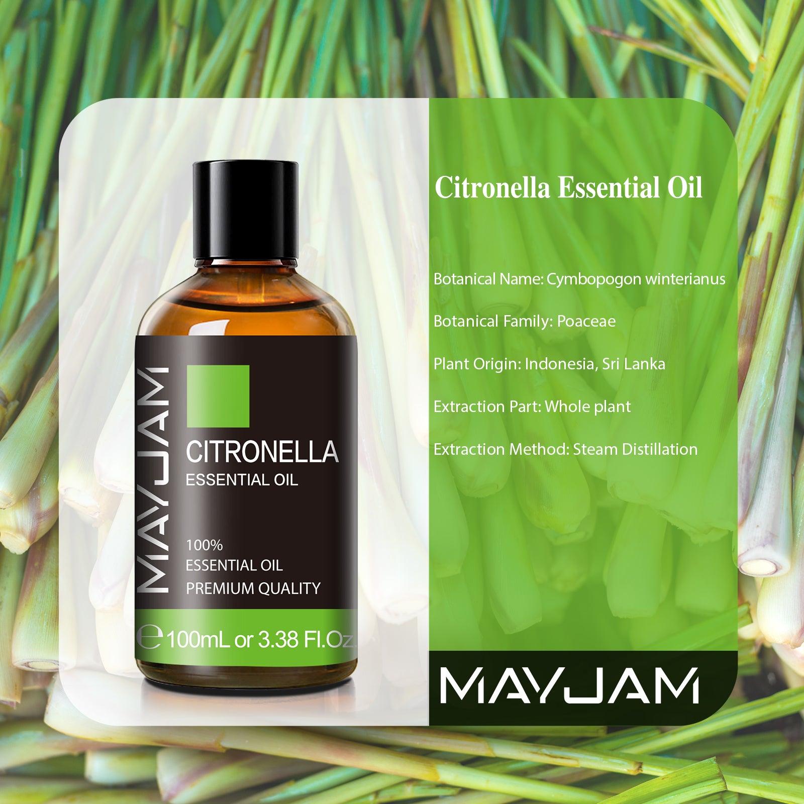 MAYJAM Citronella Essential Oil, Undiluted, Natural, Therapeutic, Aromatherapy, The Best for Diffuser, Skin, Candle