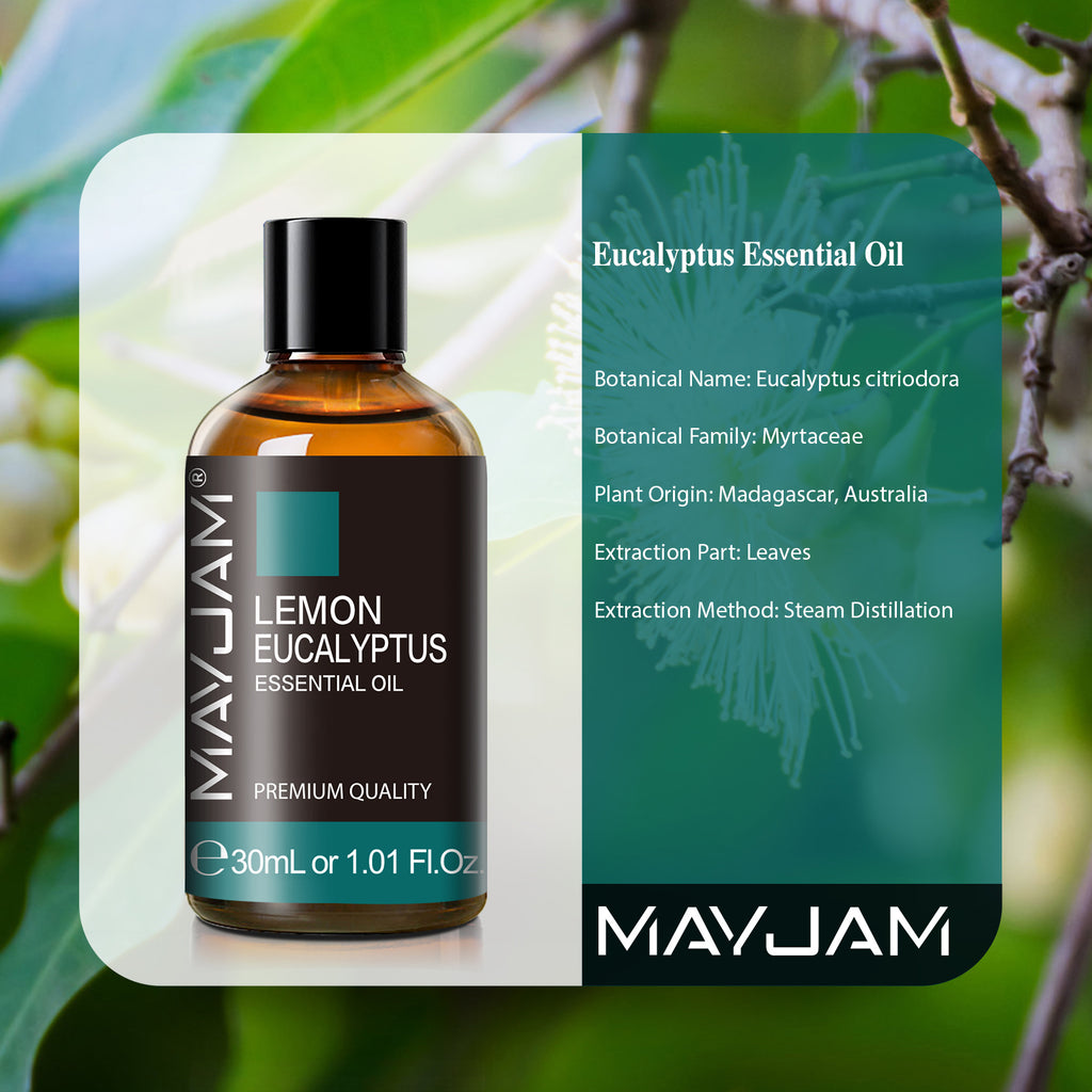 MAYJAM Lemon Eucalyptus Essential Oil 1.01 Fl Oz, 100% Natural Oil for Hair, Face, Skin Care, Diffuser, Aromatherapy, Scalp, Body Massage, Soap and Candle Making