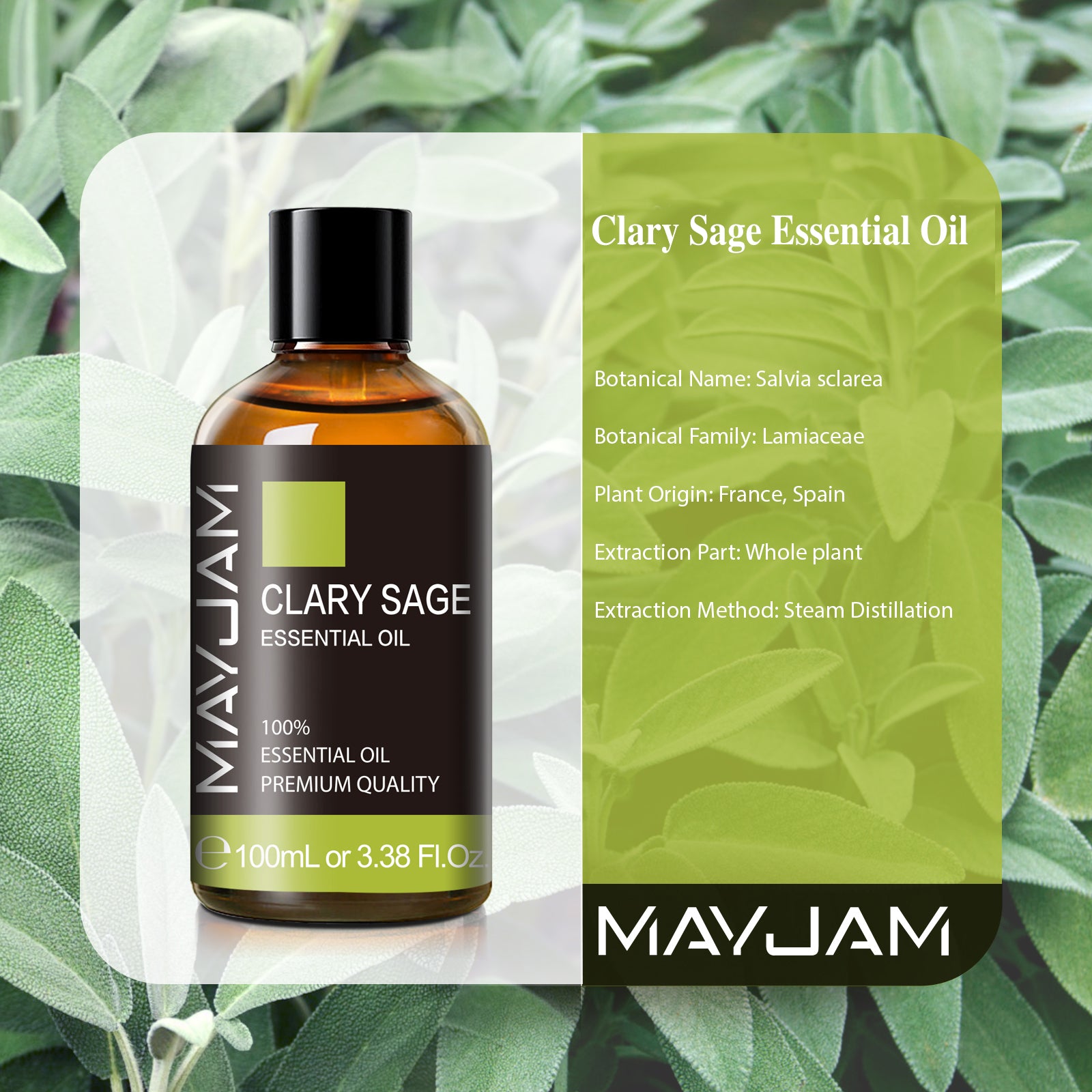 MAYJAM Clary Sage Essential Oil 100% Pure and Natural Clary Sage Oil for Hair Care, Home Diffusers, Skin, Aromatherapy, Massage and Humidifiers, 3.38 Fl Oz