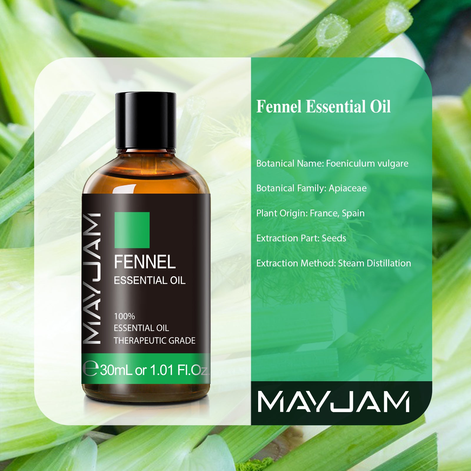 MAYJAM Fennel Essential Oil for Diffusers Aromatherapy Skin Candles Making - 100% Natural (1.01 Fl Oz)