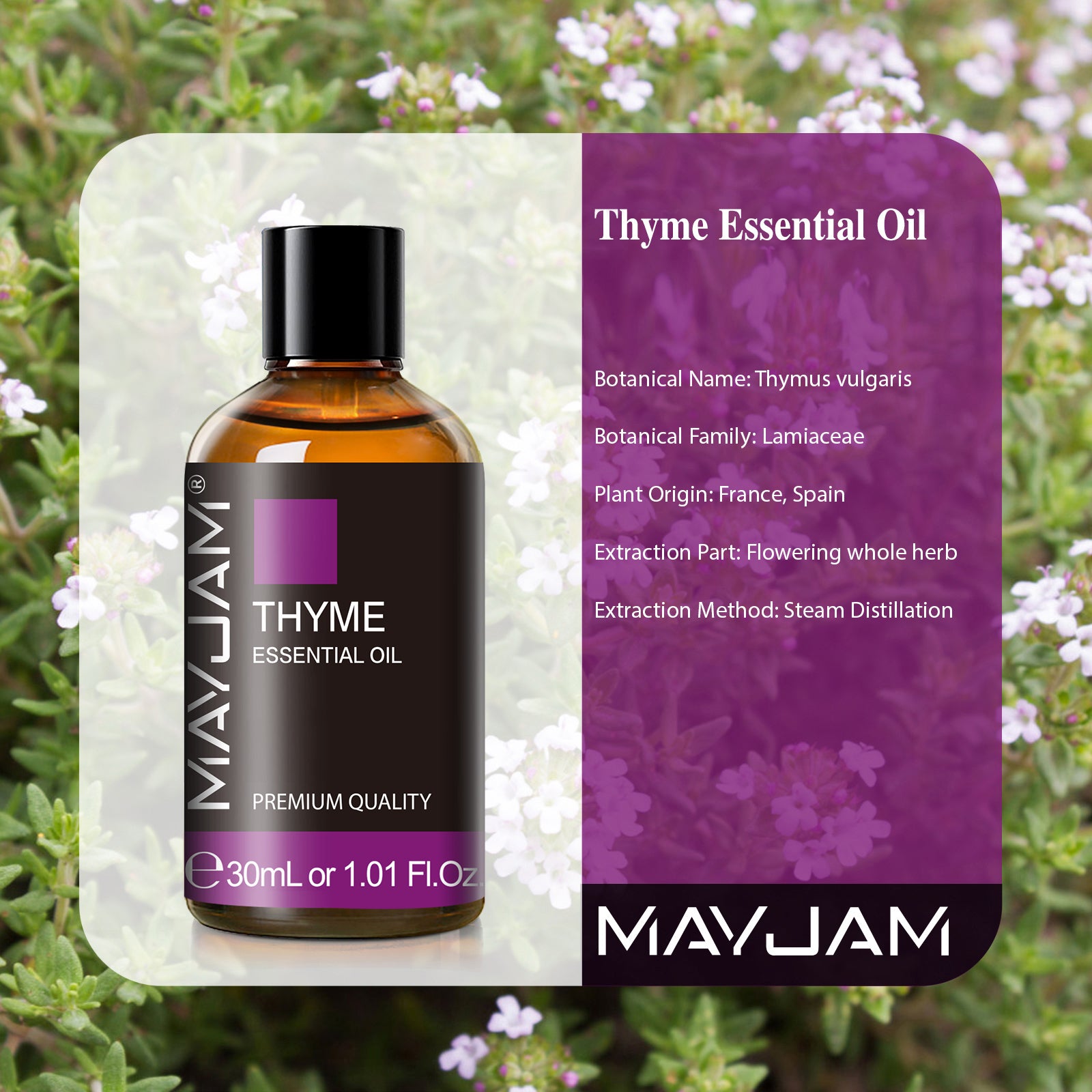 MAYJAM 1.01 Fl Oz Thyme Essential Oils for Hair, Skin, Diffuser, Aromatherapy, DIY Soap Making Scent