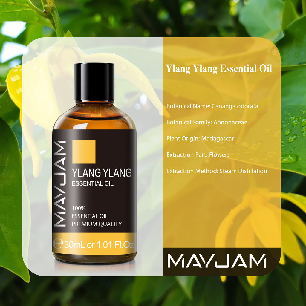 MAYJAM 30ml Ylang Ylang Essential Oil 100% Pure and Premium Grade Essential Oils for Diffuser, Aromatherapy, Soap and Candle Making