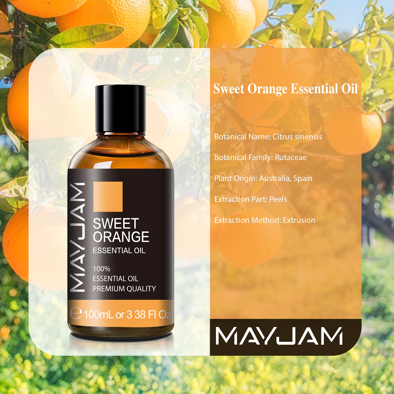 MAYJAM Sweet Orange Essential Oil 100% Natural Sweet Orange Oil for Hair Care, Home Diffusers, Skin, Aromatherapy, Massage and Humidifiers, 3.38 Fl Oz