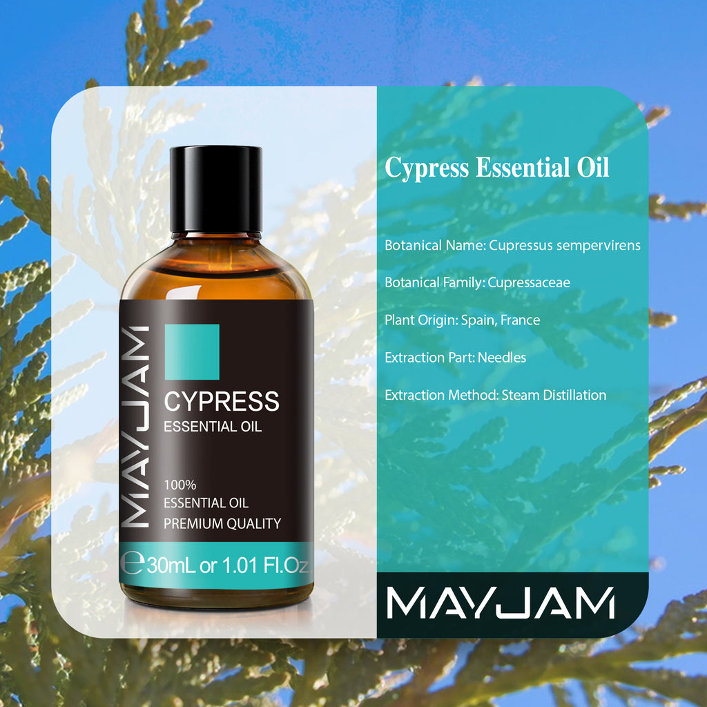 MAYJAM Cypress 100% Pure Essential Oil Therapeutic Grade for Candle Making, Massage 100 ml