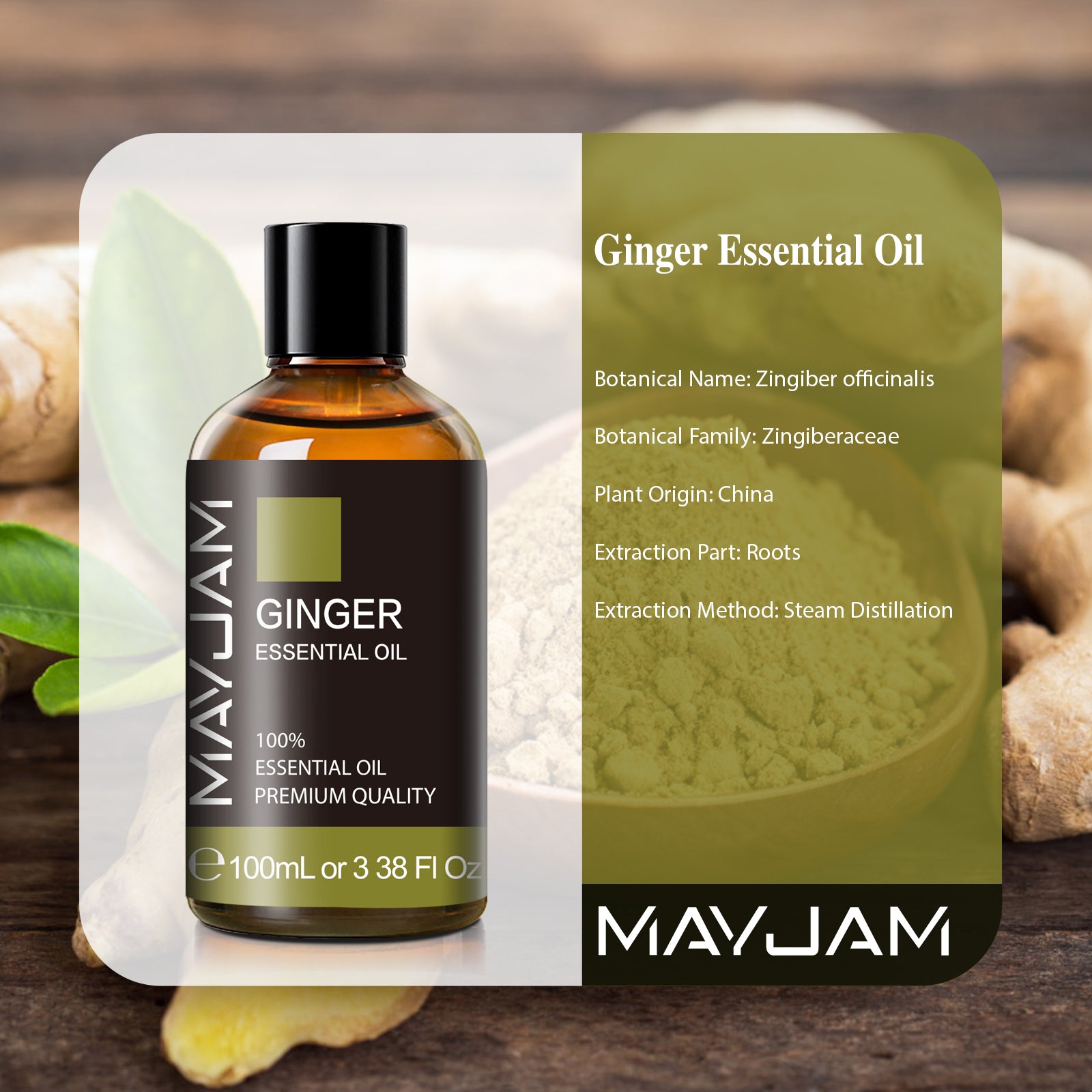 MAYJAM Pure Ginger Essential Oil,100ML, Therapeutic Grade, for use with Oil Diffusers, Potpourri, and Wicking Fragrance Diffusers