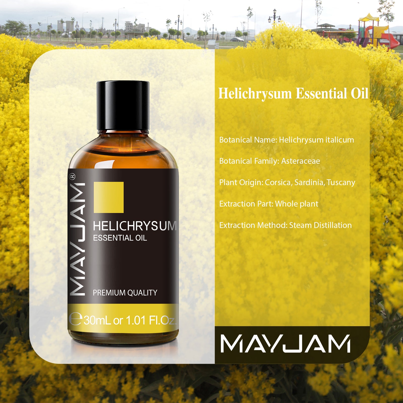 MAYJAM Helichrysum Essential Oils 1.01 Fl Oz, for Hair, Skin, Diffuser, Aromatherapy & DIY Soap Making Scent