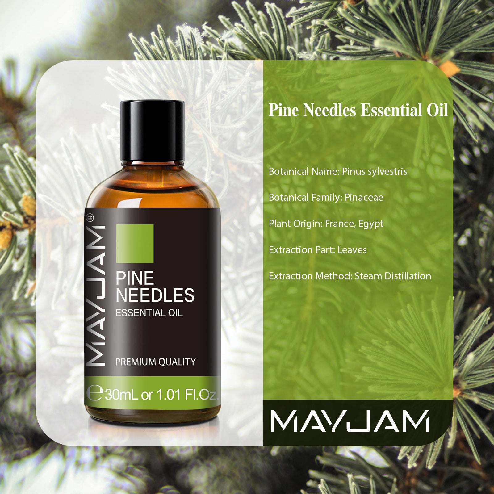 MAYJAM 100% Pure Essential Oil, Pine Needles, 30mL