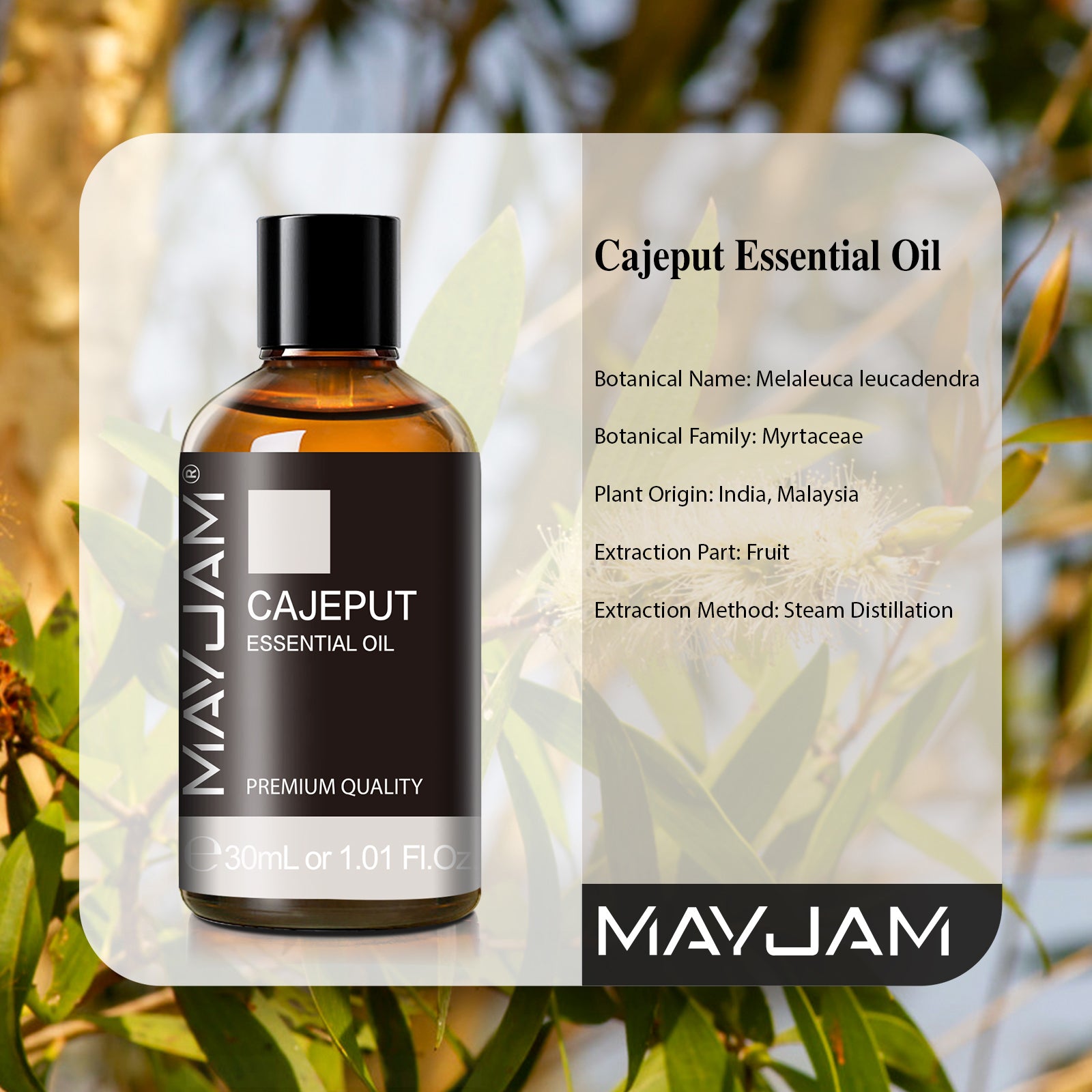 MAYJAM Cajeput Essential Oil 1.01 oz 100% Pure Undiluted Therapeutic Grade.