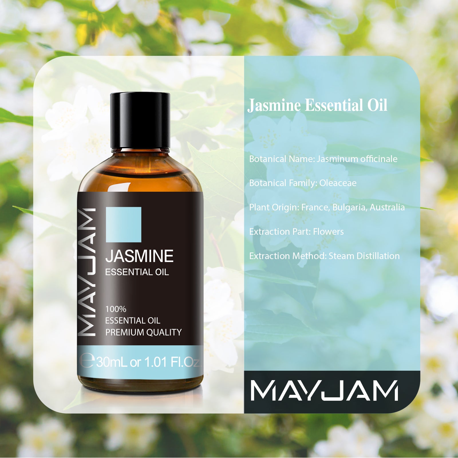 MAYJAM Jasmine Essential Oil for Diffuser, Natural Aromatherapy Oil for Hair & Skin Care, Body Massage, DIY Perfume 30mL