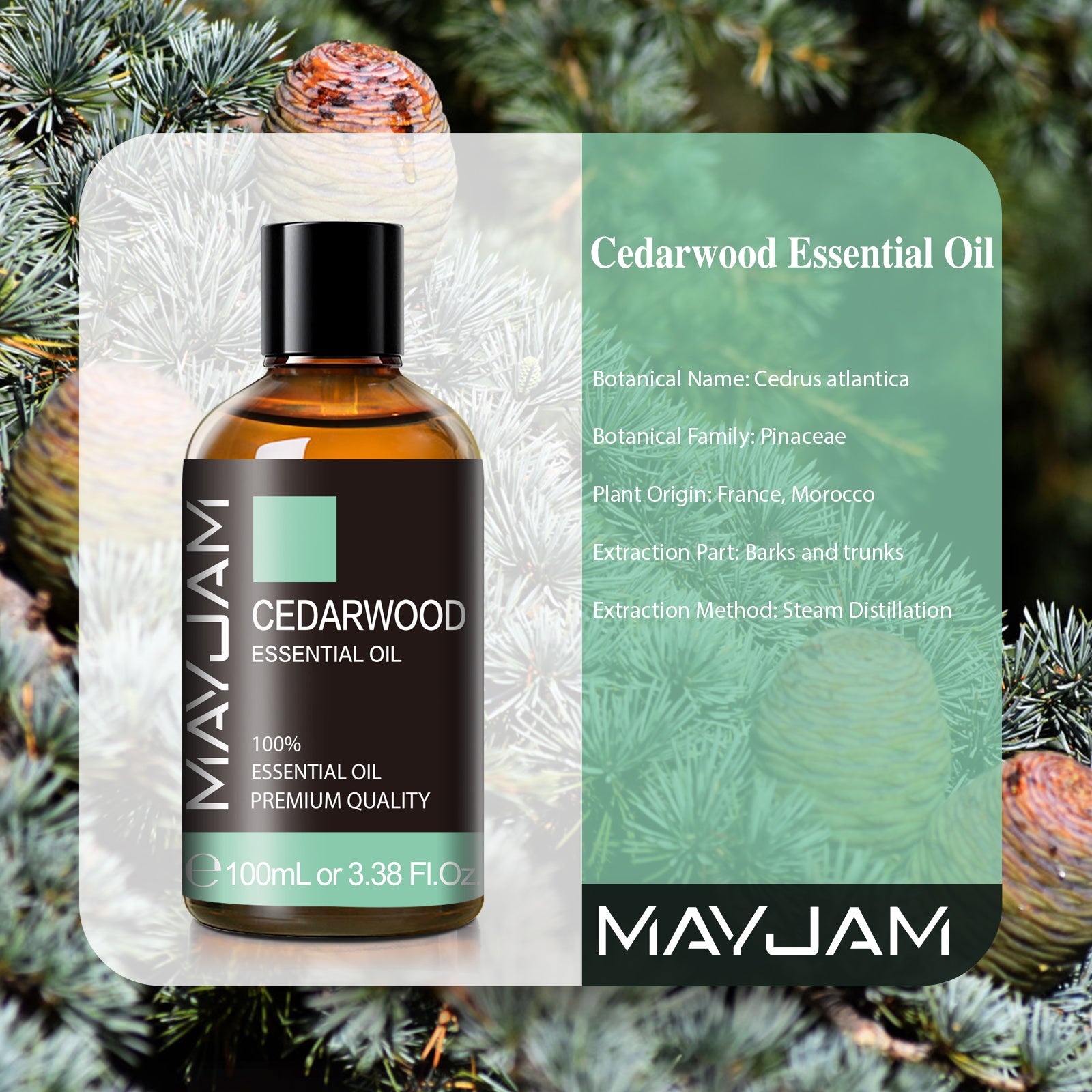 MAYJAM 3.38 Fl Oz Cedarwood Essential Oil for Skin, Premium Grade Essential Oils for Diffuser, Aromatherapy, Soap And Candle Making