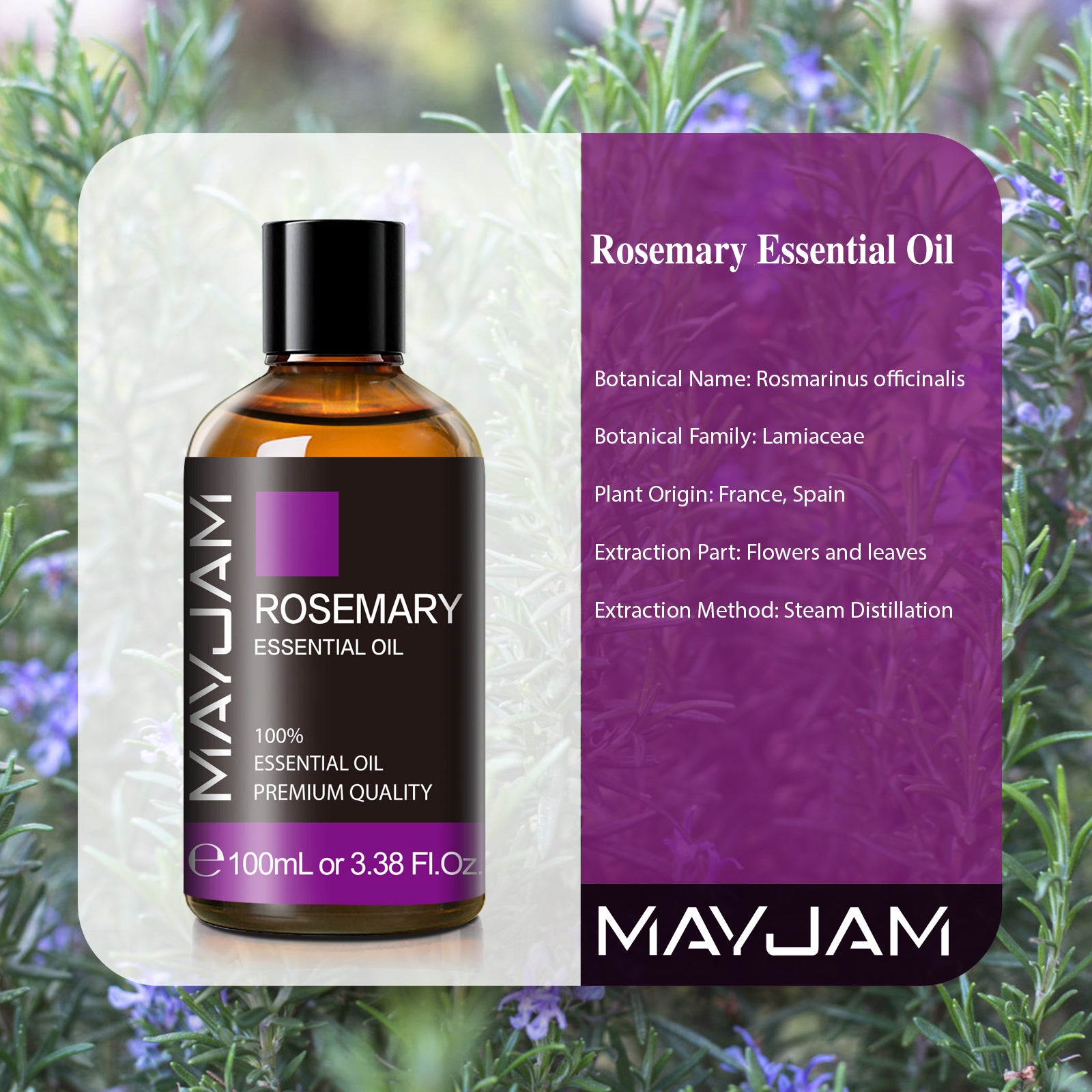 MAYJAM Rosemary Essential Oil for Diffuser, Natural Rosemary Oil for Skin Care, Aromatherapy, Hair Care, Scalp And Body Massage, 3.38 Fl Oz