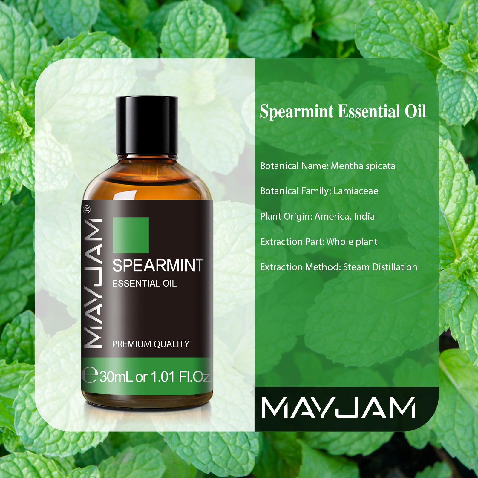 MAYJAM Pure Spearmint Essential Oil,30ML, Therapeutic Grade, for use with Oil Diffusers, Potpourri, and Wicking Fragrance Diffusers