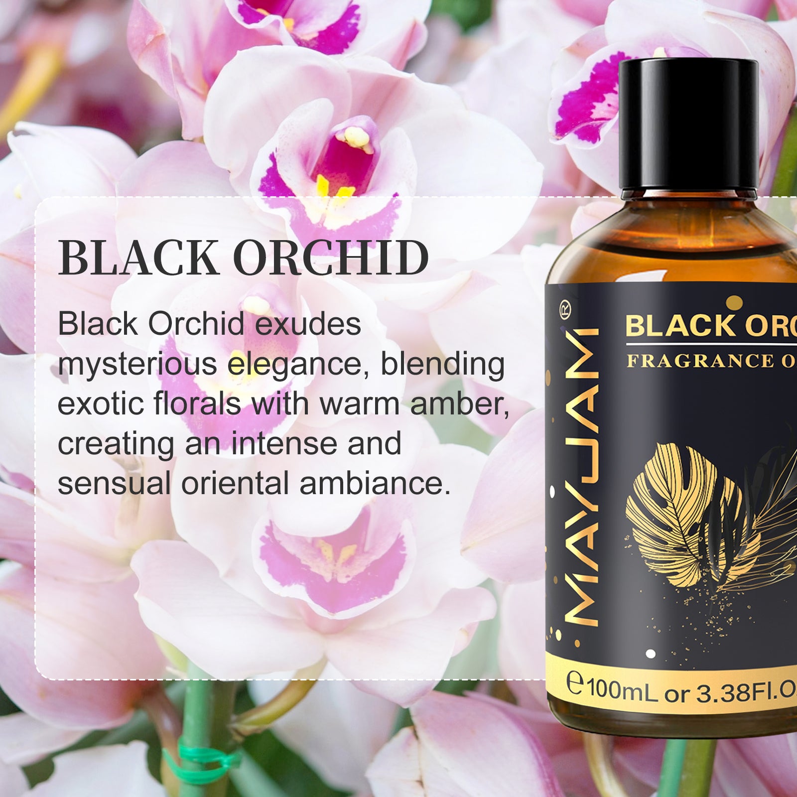 MAYJAM 100ML/3.38FL.OZ Black Orchid Fragrance Oils for Diffusers for Home, Long Lasting Scented Oils for Aromatherapy Diffusers