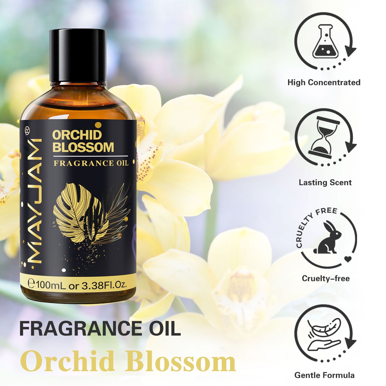 MAYJAM Fragrance Oil, Perfume Oil 100ml, Candle Scents for Candle Making, Freshie Scents, Soap Making Supplies, Diffuser Oil Scents - Orchid Blossom Scent