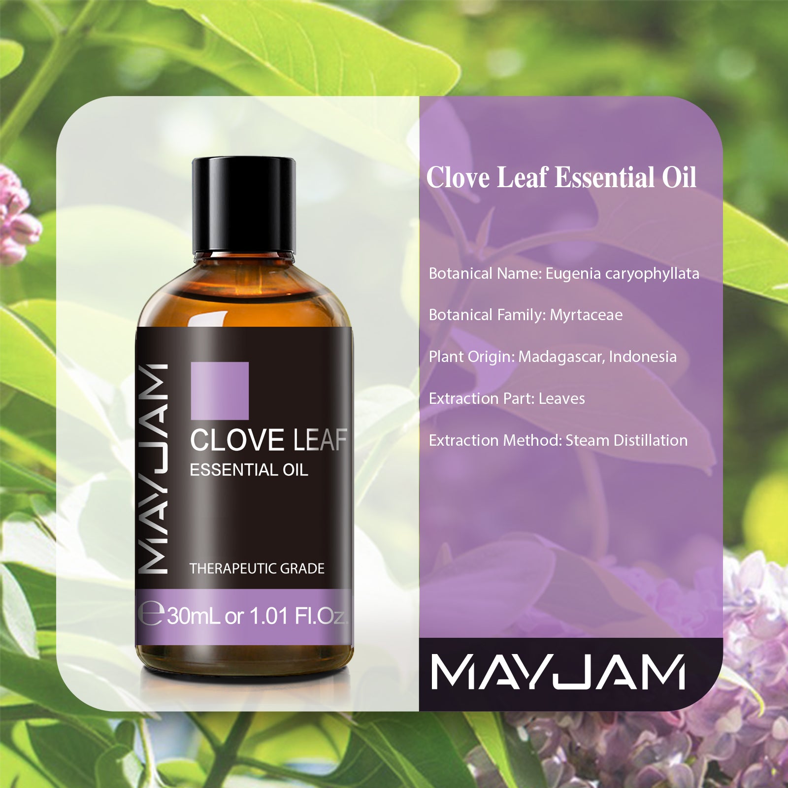 MAYJAM 30mL Clove Essential Oil, Therapeutic Grade, Pure and Natural Clove Oil, 1.01FL.OZ Bottle