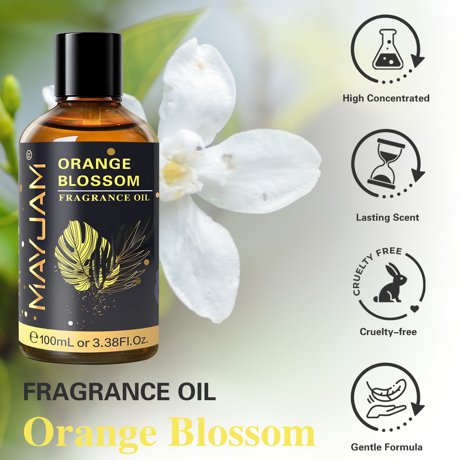 MAYJAM Orange Blossom Essential Oil for Diffuser and Aromatherapy, Skin Massage, Candle and Soap Making, 100ml