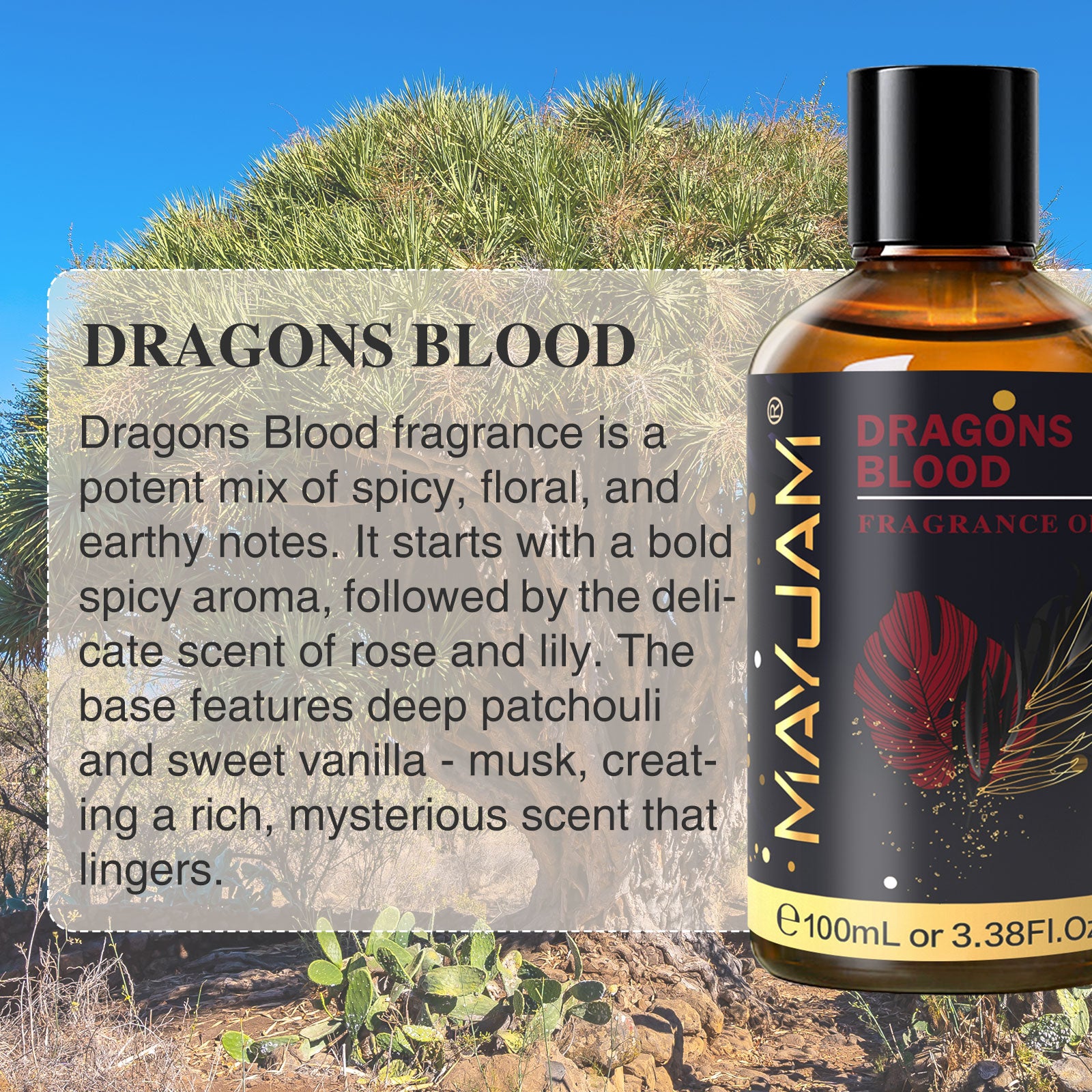 MAYJAM 100ML/3.38FL.OZ Dragons Blood Fragrance Oils for Diffusers for Home, Long Lasting Scented Oils for Aromatherapy Diffusers, Skin Care, Bath, Relaxation, DIY Soap Candle Making