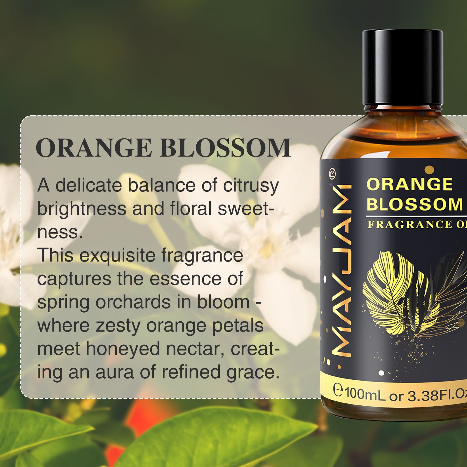 MAYJAM 3.38Fl.Oz Fragrance Oils for Candle Making, Orange Blossom Essential Oils for Diffusers Diy Candle And Soap Making, Perfume