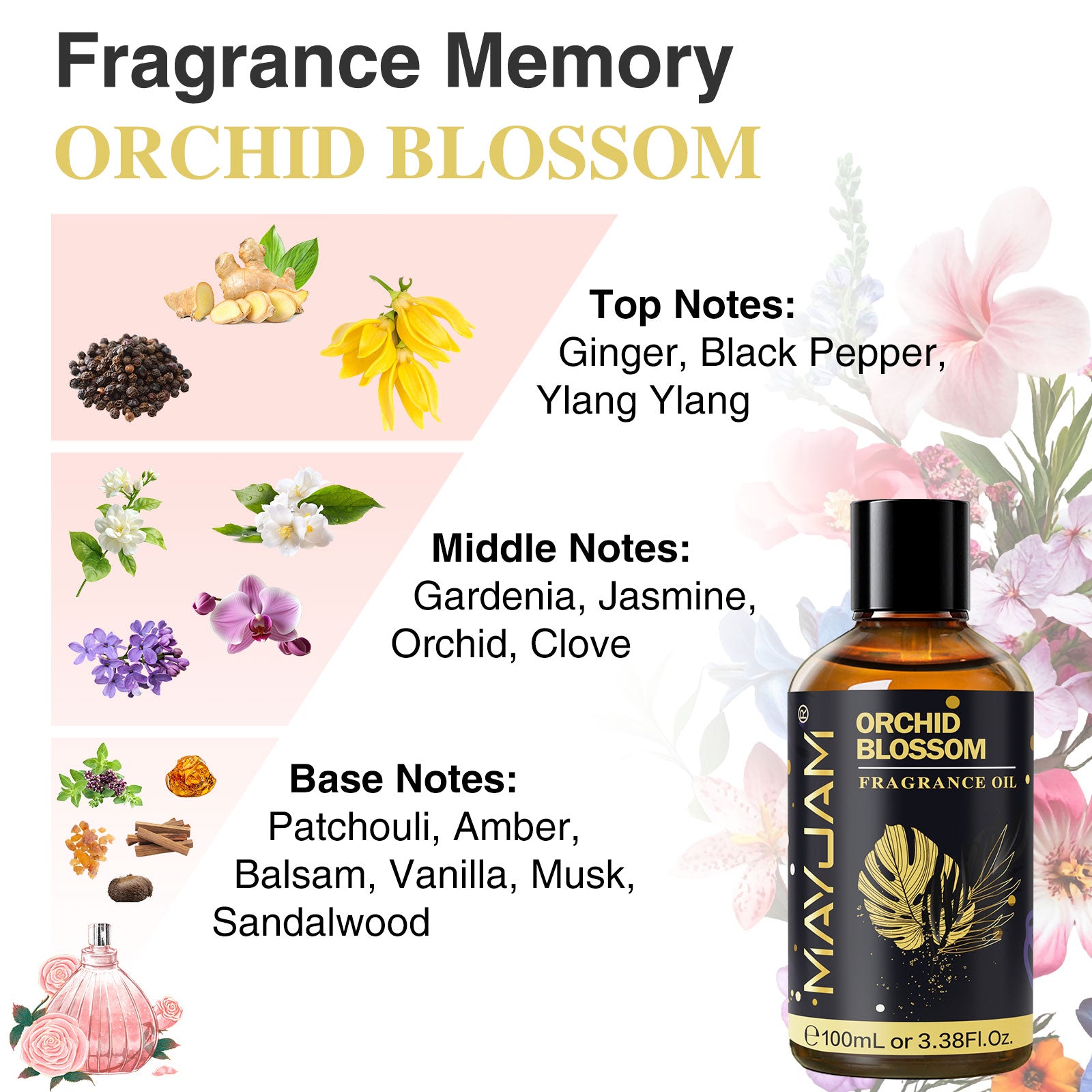 MAYJAM Fragrance Oil, Perfume Oil 100ml, Candle Scents for Candle Making, Freshie Scents, Soap Making Supplies, Diffuser Oil Scents - Orchid Blossom Scent