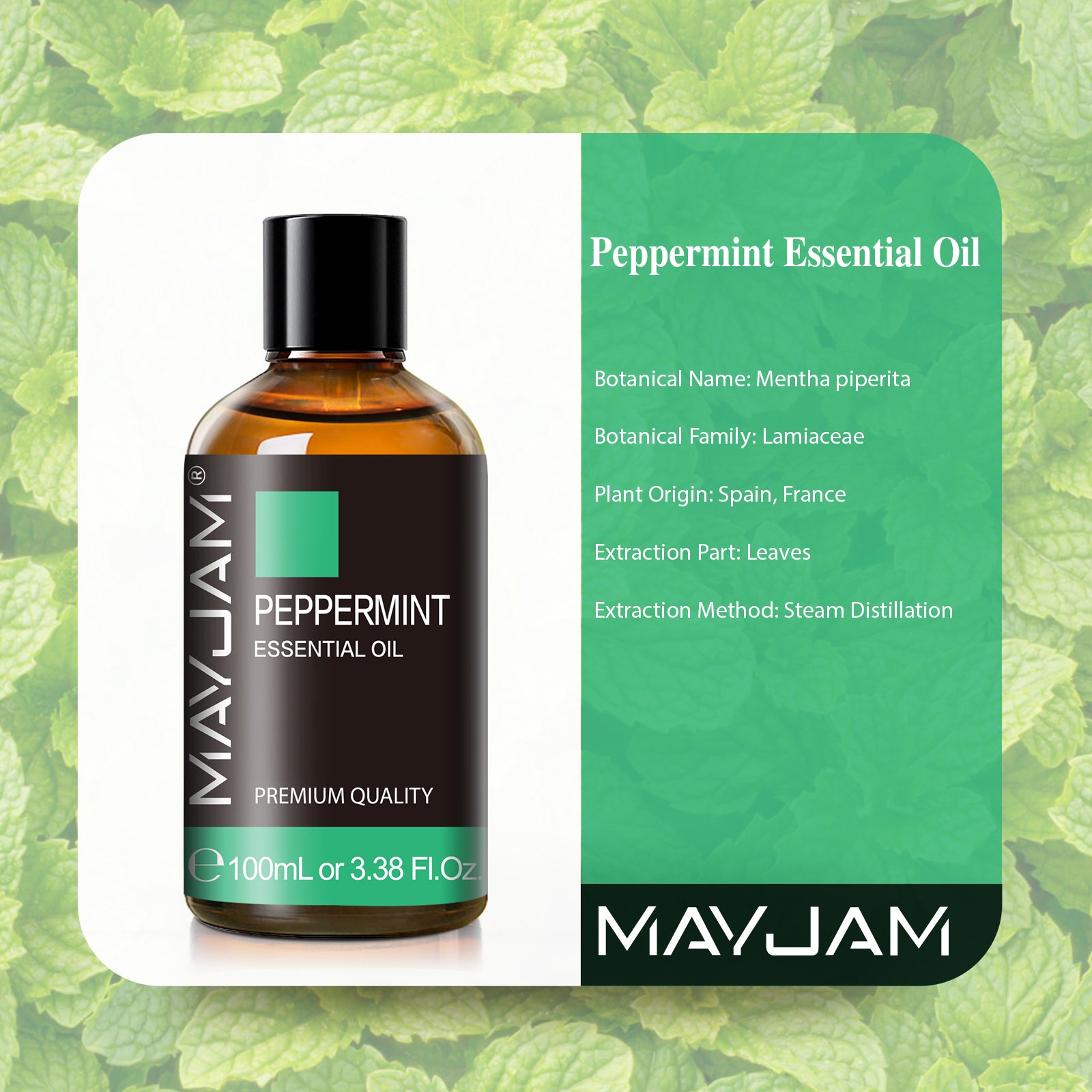 MAYJAM Peppermint Essential Oil 100% Pure Oils for Diffusers Aromatherapy 100ml