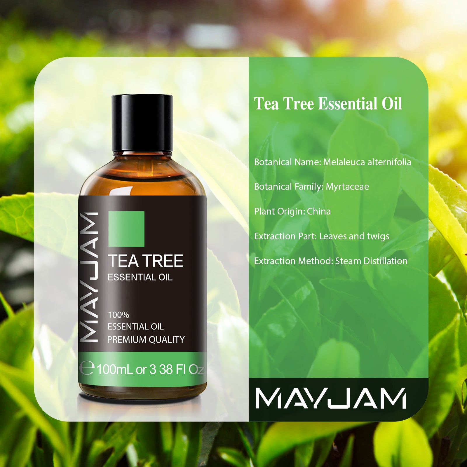MAYJAM 3.38 Fl Oz Tea Tree Essential Oil, Natural Tea Tree Oil for Diffuser, Face, Skin Care, Aromatherapy, Hair Care, Scalp and Body Massage, with Dropper