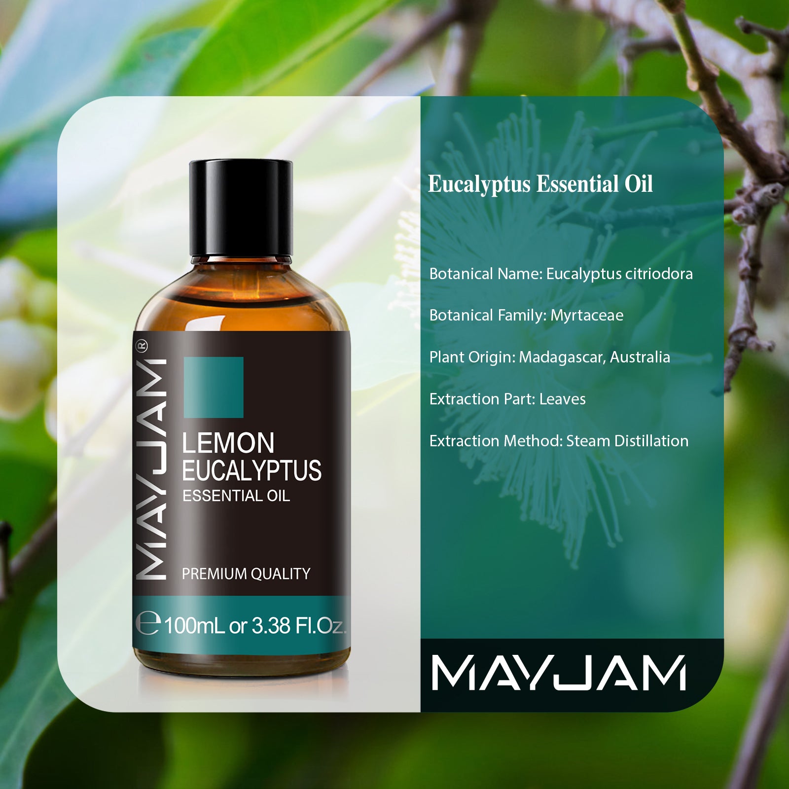 MAYJAM Lemon Eucalyptus Essential Oil for Diffuser and Aromatherapy, Skin Massage, Candle and Soap Making, 100ml